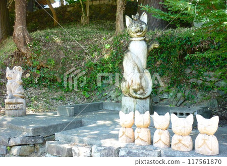 Unrinji Temple and Nekodera Temple in Hagi City, Yamaguchi Prefecture Unrinji Temple and Nekodera Temple in Hagi City, Yamaguchi Prefecture 117561870