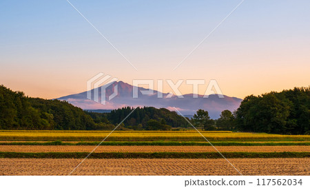 鳥在日落的海山 117562034