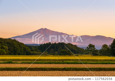 Bird sea mountain at sunset Bird sea mountain at sunset 117562038