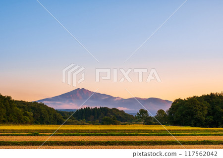 Bird sea mountain at sunset Bird sea mountain at sunset 117562042
