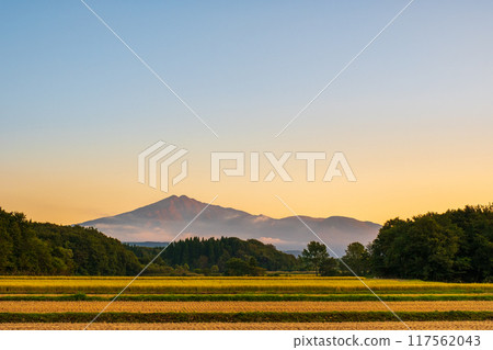 Bird sea mountain at sunset Bird sea mountain at sunset 117562043