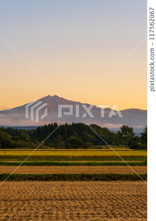 Bird sea mountain at sunset Bird sea mountain at sunset 117562067
