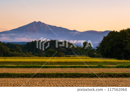 Bird sea mountain at sunset 117562068