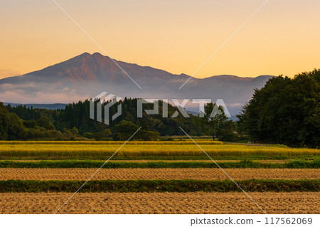 鳥在日落的海山 117562069