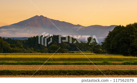 鳥在日落的海山 117562079