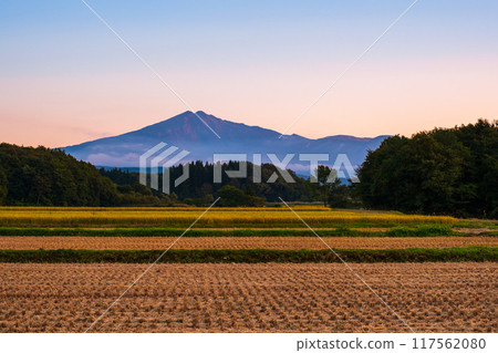 Bird sea mountain at sunset 117562080