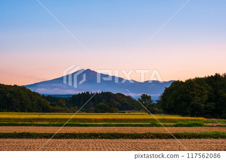 鳥在日落的海山 117562086