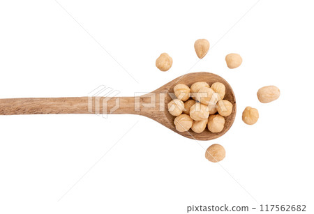heap of hazelnuts in spoon isolated on white 117562682