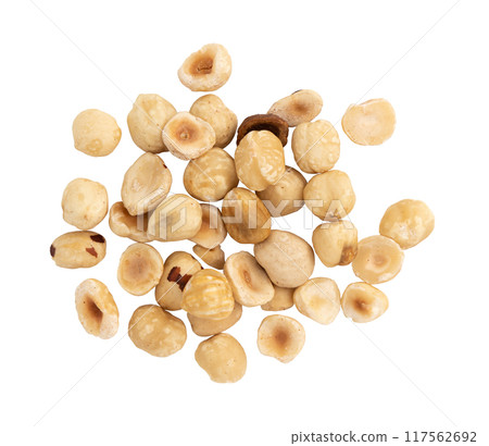 heap of hazelnuts isolated on white background heap of hazelnuts isolated on white background 117562692