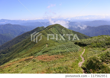 Asahi faces Asahi faces 117562951