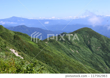 Asahi faces Asahi faces 117562963