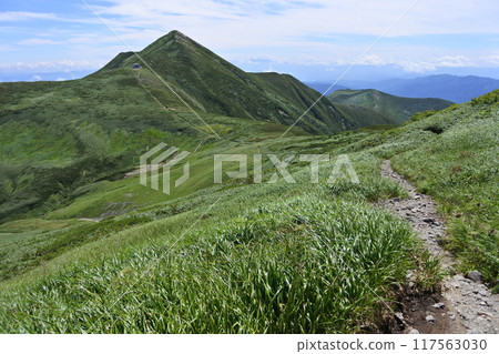 Asahi faces Asahi faces 117563030