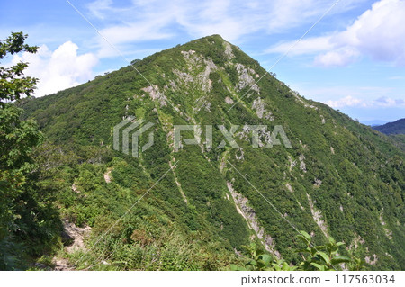 Asahi faces 117563034