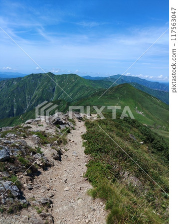 Asahi faces 117563047