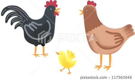Chicken Family, Rooster, Hen and Chick Illustration Vector Chicken Family, Rooster, Hen and Chick Illustration Vector 117563048