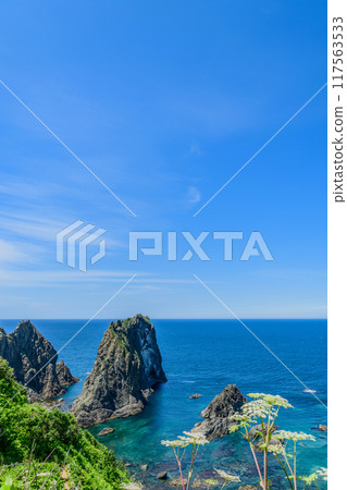 北海道積丹半島島梅海岸 北海道積丹半島島梅海岸 117563533