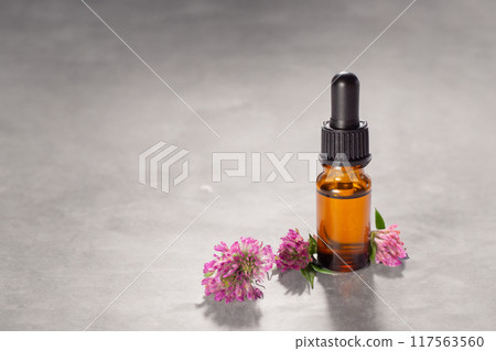 Clover flowers and hair on grey background. Hair treatment concept. Close up. Copy space Clover flowers and hair on grey background. Hair treatment concept. Close up. Copy space 117563560