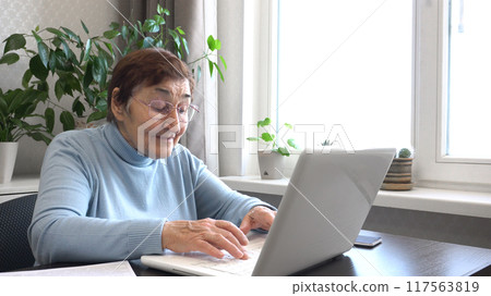 Elderly Woman in Glasses Working on Computer at Home Elderly Woman in Glasses Working on Computer at Home 117563819