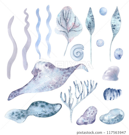 Ocean animals and sea plants in watercolor clipart. Monochrome blue marine life elements as bubbles, wavy lines and ocean creatures hand drawn . Stingray and underwater flora for marine summer design 117563947