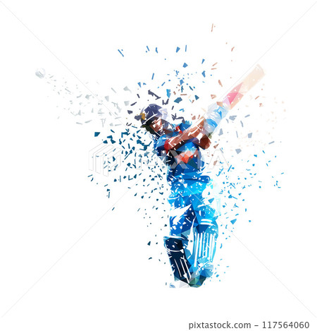 Cricket player batting, batsman, isolated geometric low poly vector illustration, distortion effect 117564060