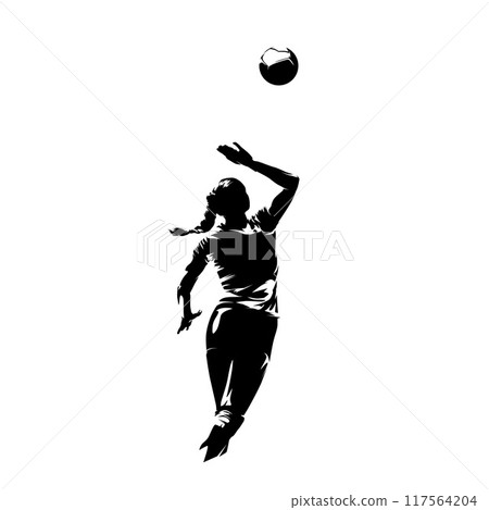 Volleyball player, woman, female team sport athlete, isolated vector silhouette Volleyball player, woman, female team sport athlete, isolated vector silhouette 117564204