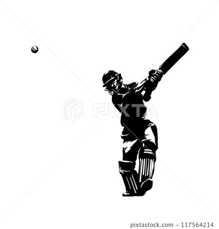 Cricket player, batsman, in action, isolated vector silhouette, front view 117564214