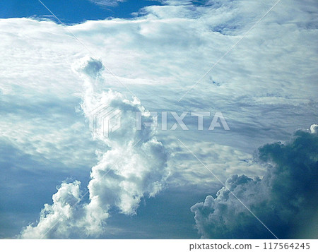 Blue sky and clouds August sky 117564245