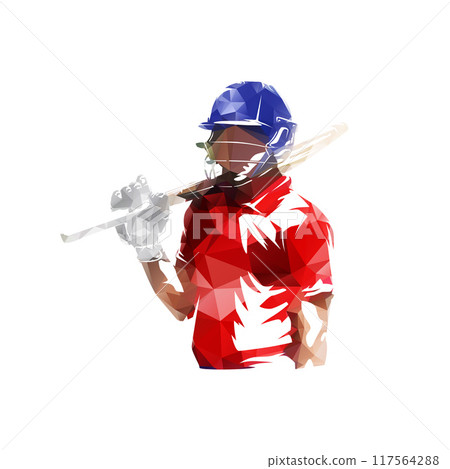 Cricket player batting, batsman, isolated geometric low poly vector illustration 117564288