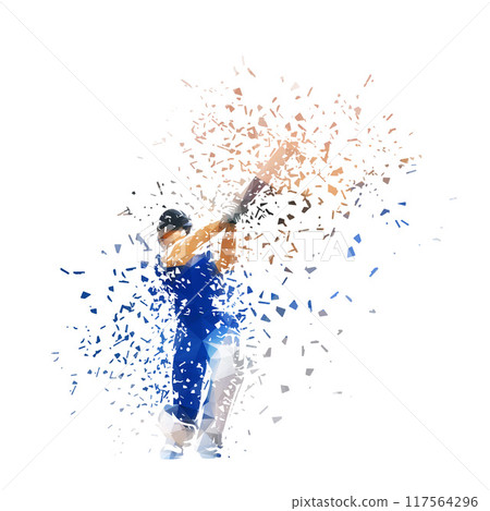 Cricket player, batsman cricketer, isolated low poly vector illustration with shatter effect 117564296
