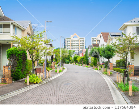 Quiet residential area, utility pole-free town 117564394