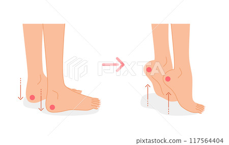 腳部腫脹：緩解腫脹的運動圖示（小腿伸展） 117564404