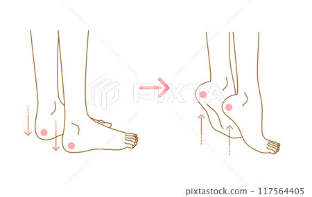 Swelling in the legs: Illustration of exercises to relieve swelling (calf stretches) 117564405