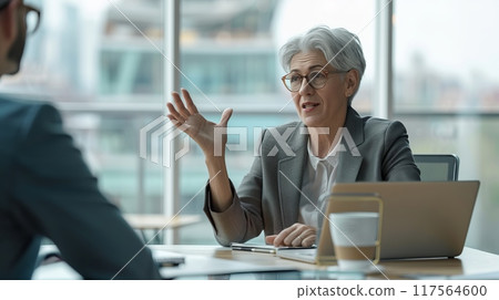Businesswoman in a Gray Suit Holding a Meeting in a Modern Office. Professional Interaction Concept. Business Image for Corporate Use. AI 117564600