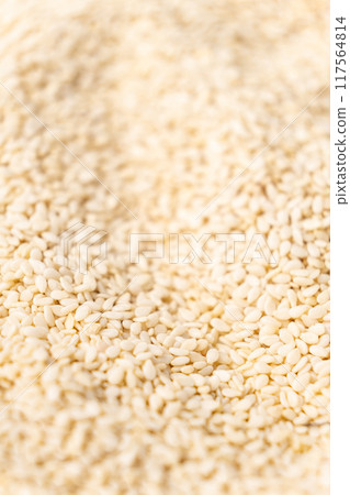 Close-up of white peeled sesame seeds Close-up of white peeled sesame seeds 117564814