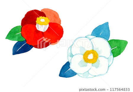 Camellia flowers (red and white set) Hand-drawn watercolor illustrations of plants Great for New Year's cards 117564833