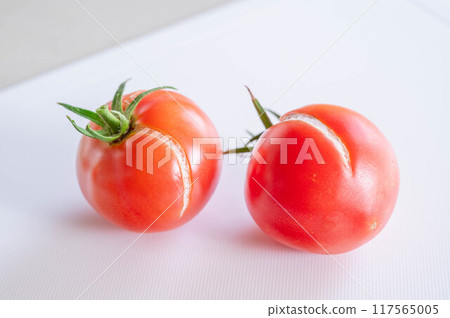 西紅柿被雨凍裂了 117565005