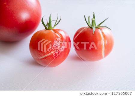 西紅柿被雨凍裂了 117565007