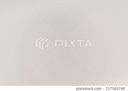 日紙製成的散景背景資料(白色) 日紙製成的散景背景資料(白色) 117565740