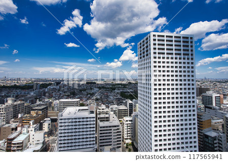 Nerima Ward northward streetscape 117565941