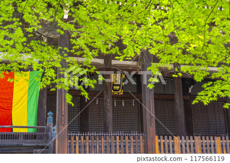 京都八本山櫻花季 利本寺正殿 117566119
