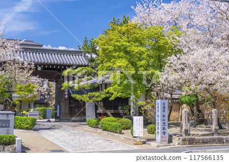 Kyoto Hachimanzan: Cherry Blossom Season: Ritsuhonji Temple Gate Kyoto Hachimanzan: Cherry Blossom Season: Ritsuhonji Temple Gate 117566135