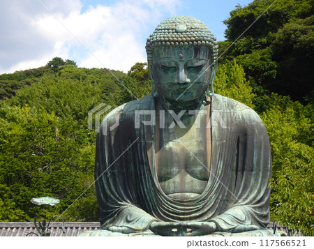 Great Buddha of Kamakura (Kamakura, Kanagawa Prefecture) Great Buddha of Kamakura (Kamakura, Kanagawa Prefecture) 117566521