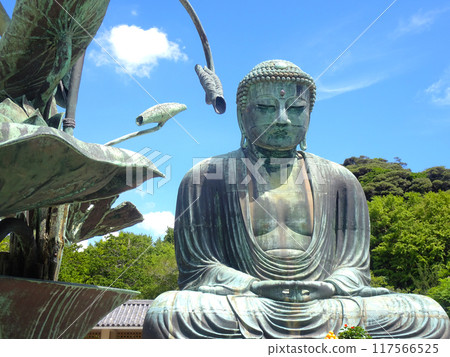鎌倉大佛(神奈川縣鎌倉市) 鎌倉大佛(神奈川縣鎌倉市) 117566525