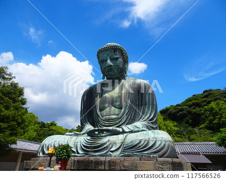 Great Buddha of Kamakura (Kamakura, Kanagawa Prefecture) Great Buddha of Kamakura (Kamakura, Kanagawa Prefecture) 117566526
