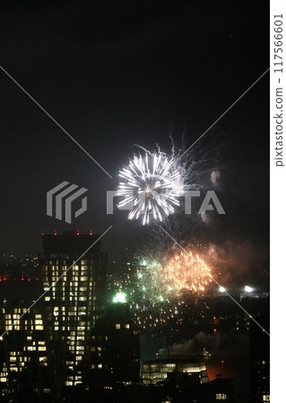 Jingu Gaien Fireworks Competition 117566601