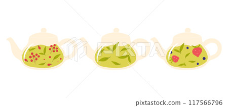 Set of teapots with tea. Collection of teapots with green, herbal and berry tea. Vector illustration. 117566796