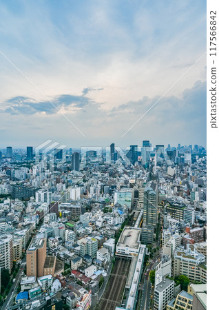 日本東京市區景觀 117566842