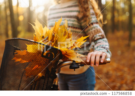 Autumn bouquet of yellow and orange leaves lying in a bicycle basket in a sunny autumn park. Autumn bouquet of yellow and orange leaves lying in a bicycle basket in a sunny autumn park. 117566858