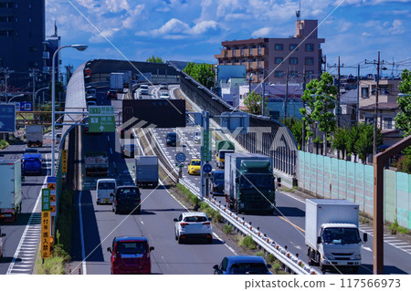 Traffic around Mejiro-dori Nerima IC 117566973