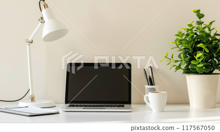 A modern workspace with a minimalist design: a clean white desk with a laptop, a stylish desk lamp and green plant. 117567050